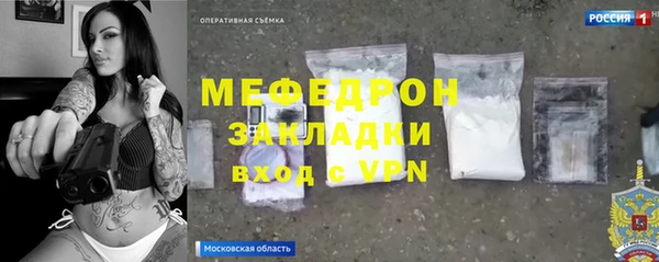 шишки Медвежьегорск