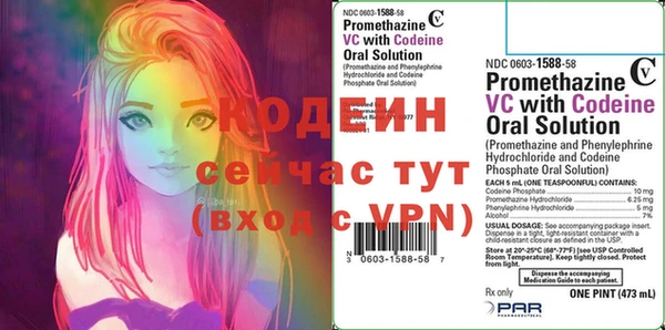 шишки Медвежьегорск