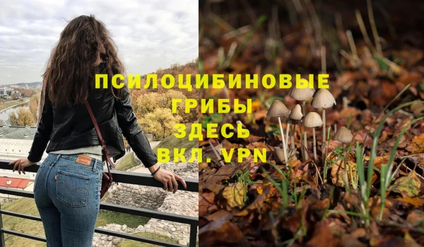 сатива Рославль