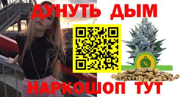 мдпв Кингисепп