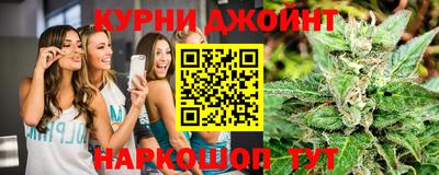 мдпв Кингисепп
