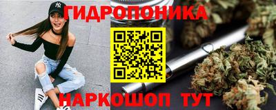 СК Кинель