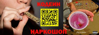 мдпв Кингисепп