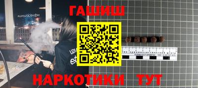мдпв Кингисепп