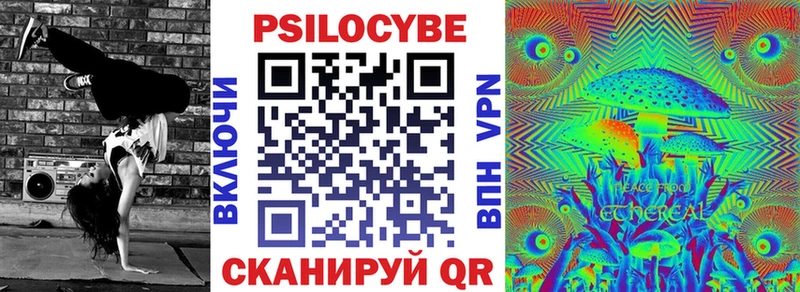 Галлюциногенные грибы Psilocybe  hydra   Курчатов 