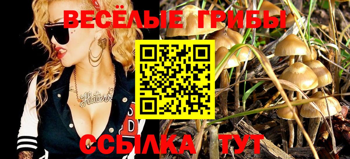 НБОМе Курчатов