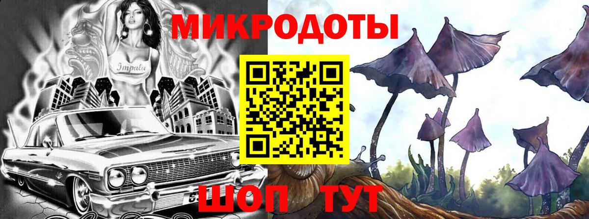 Курчатов  Псилоцибиновые грибы ЛСД  цена   Вход с VPN 