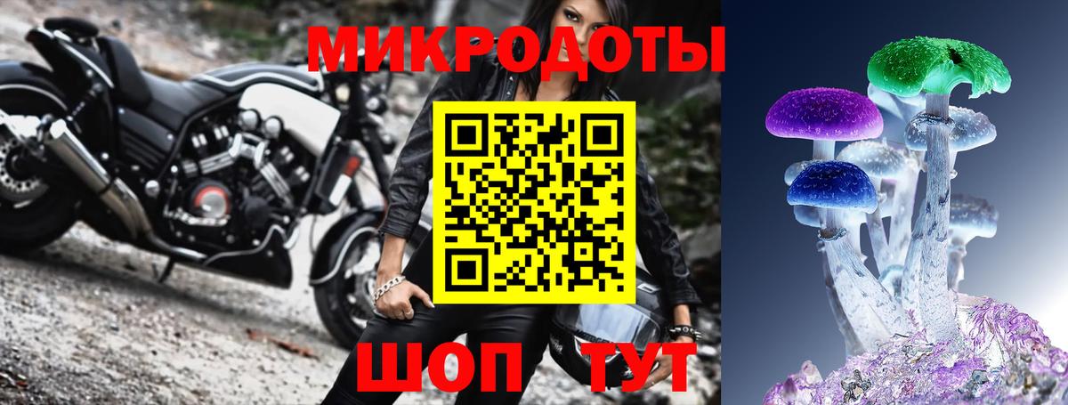 Псилоцибиновые грибы мицелий Курчатов