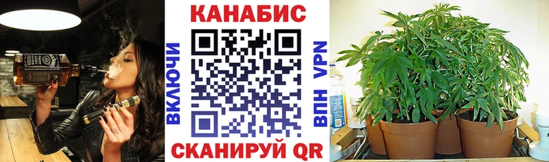 МАРИХУАНА MAZAR  ОМГ ОМГ как войти  Курчатов  где продают  